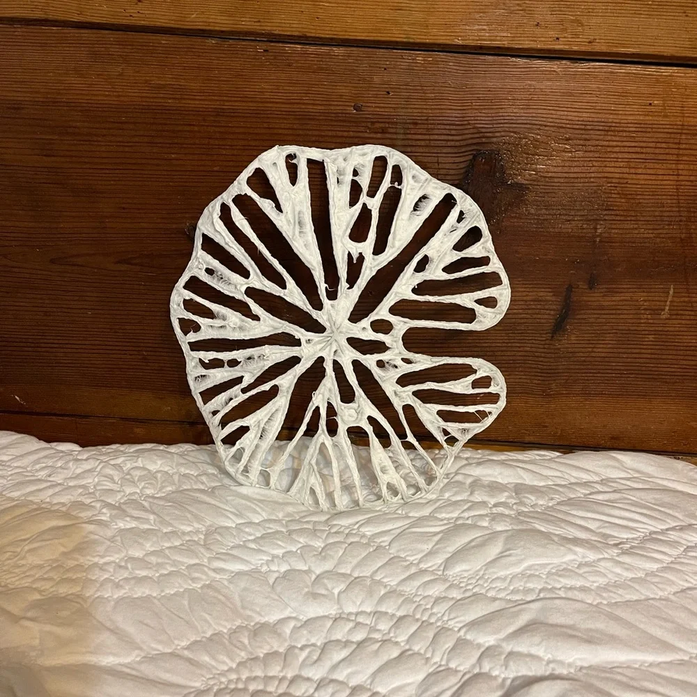 New Anthropologie Sand Dollar Paper Wall Hangings, Set of 3 - Picture 9 of 10